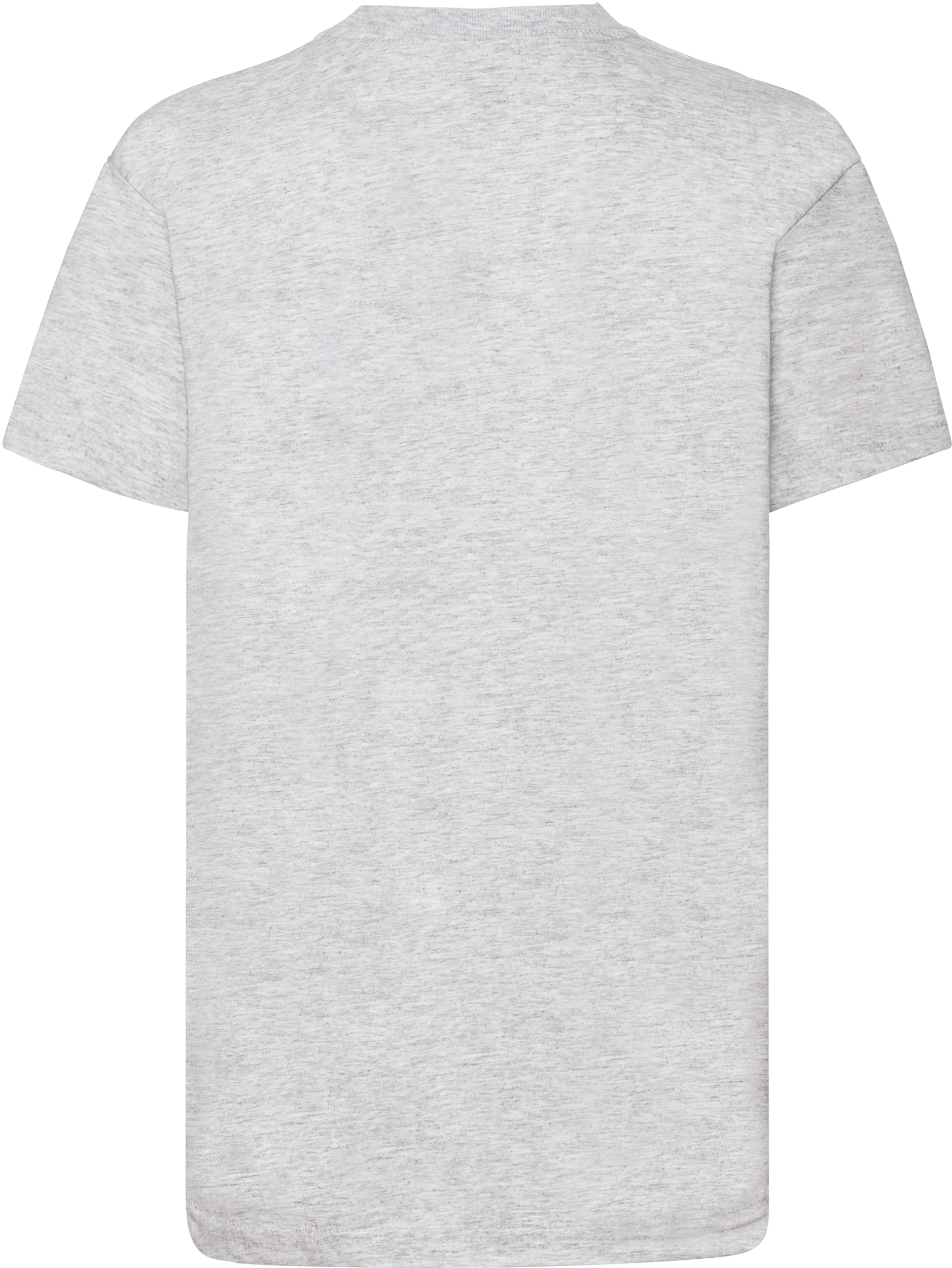GDTXSC221B Heather Grey BACK