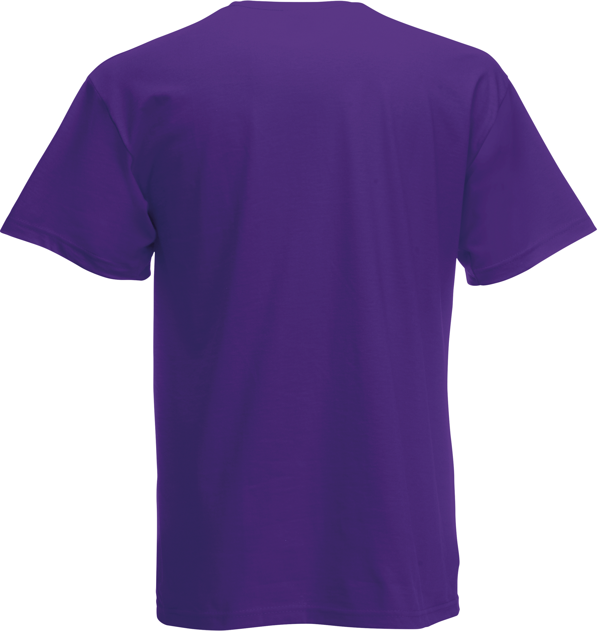 GDTXSC6 Purple BACK