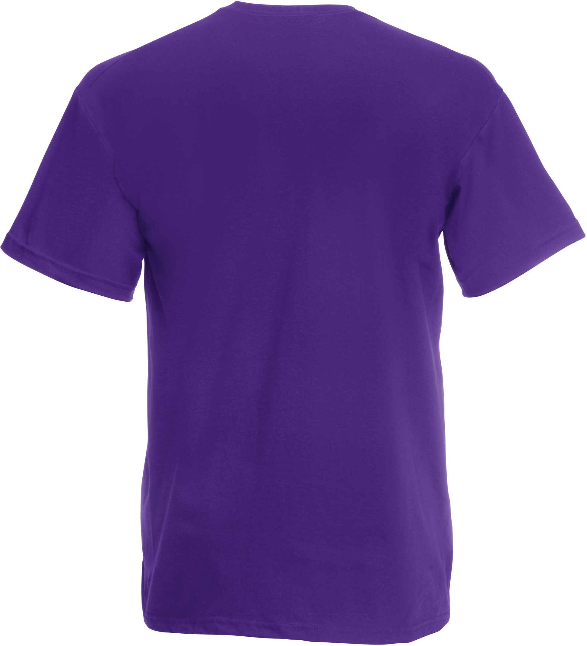 GDTXSC61019 Purple BACK