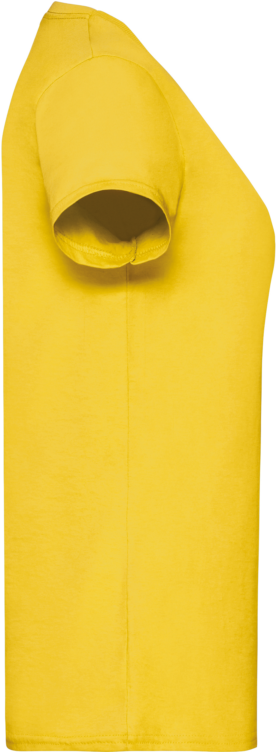 GDTXSC61372 Sunflower SIDE