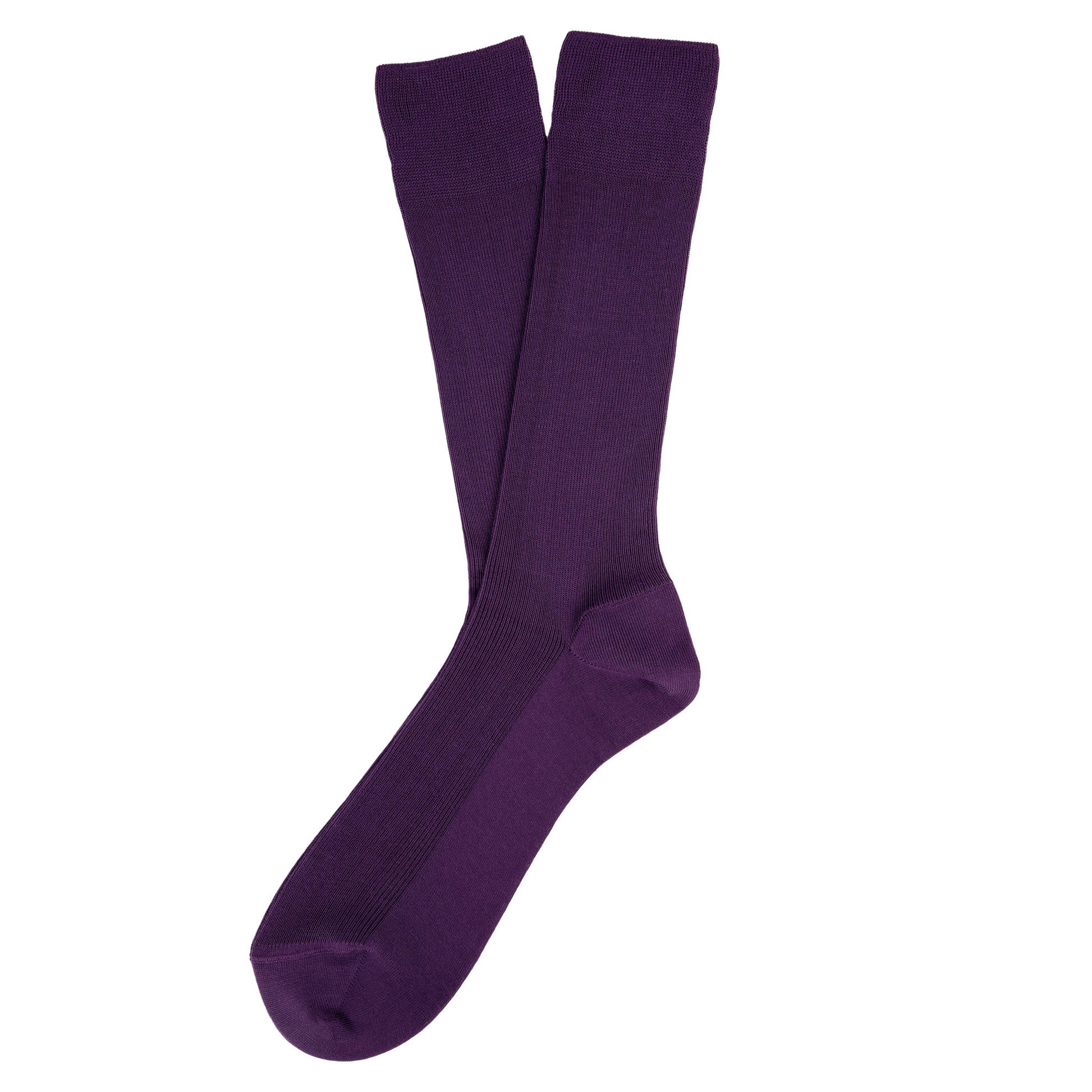 GDTXSP800 Deep Plum FACE